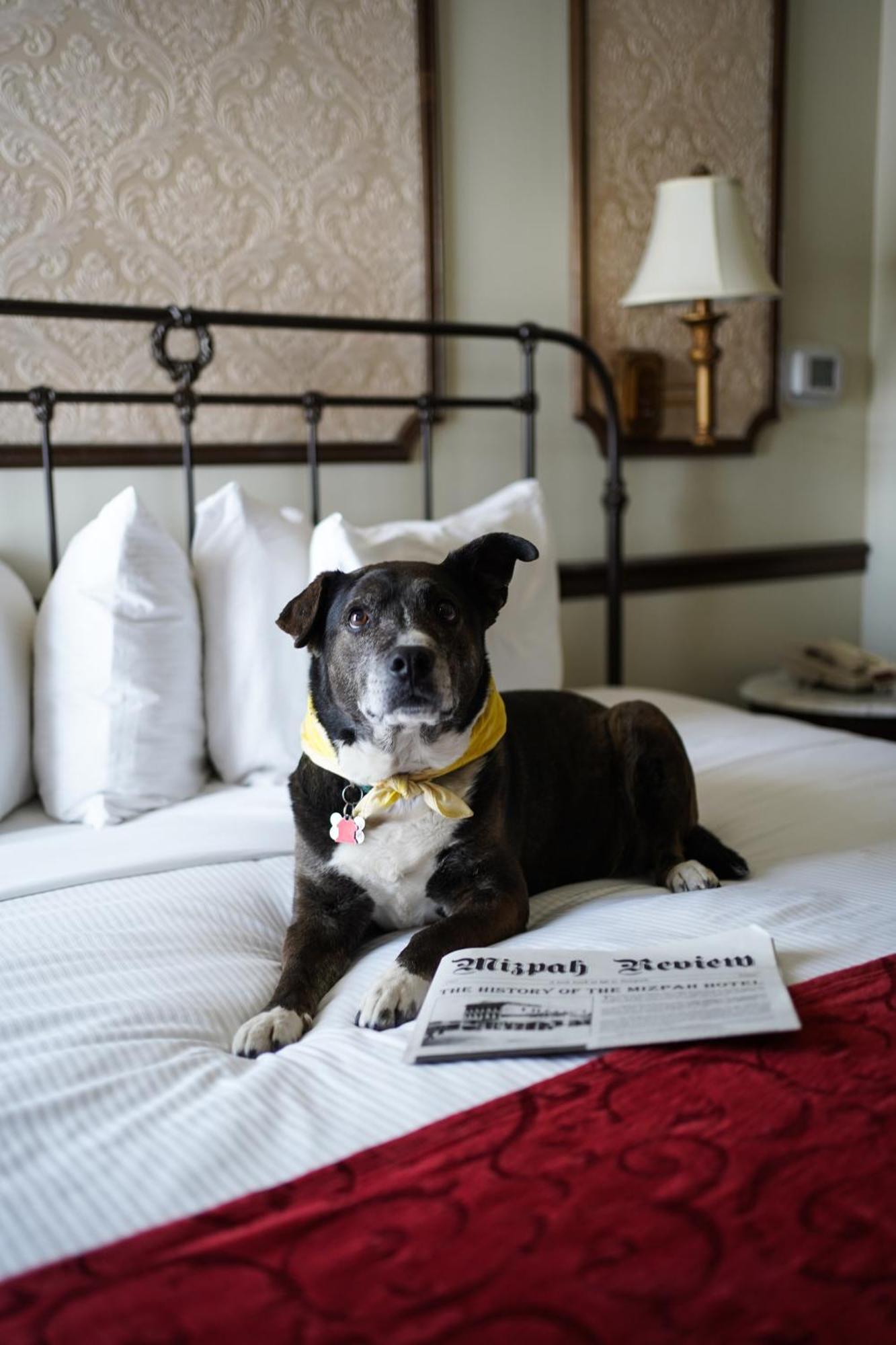 Mizpah Hotel Tonopah Eksteriør billede